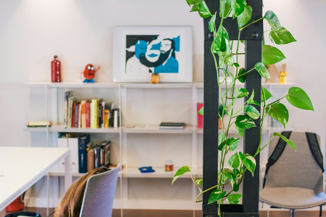 Healthy modern office with plants and standing desks