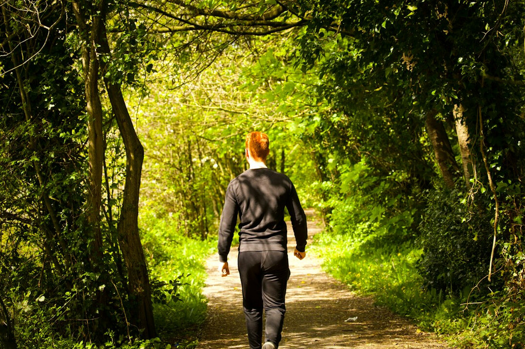 person walking in nature